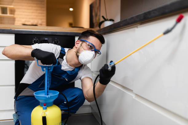Best Pest Removal Services  in Centerton, AR