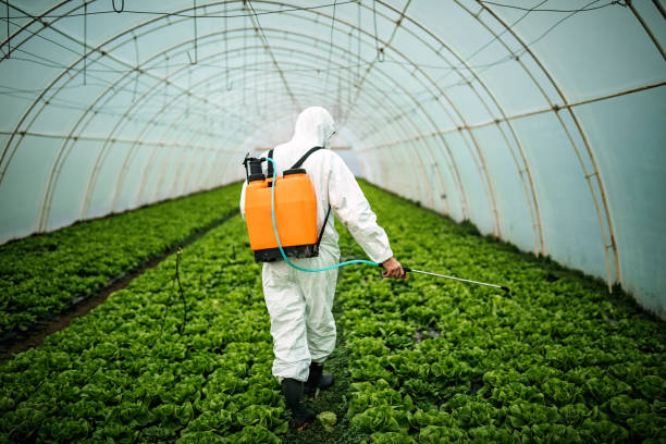 Best Pest Removal Services  in Centerton, AR
