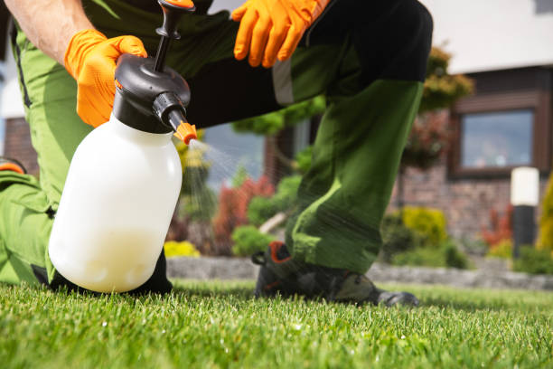 Best Pest Prevention Services  in Centerton, AR