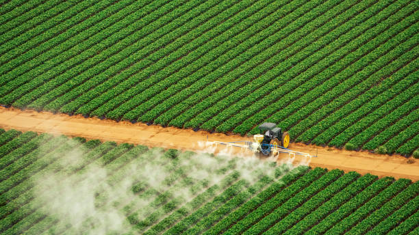 Pest Prevention Services in Centerton, AR