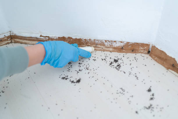 Best Best Pest Control Companies  in Centerton, AR