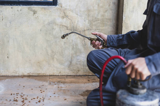 Best Pest Control Cost  in Centerton, AR